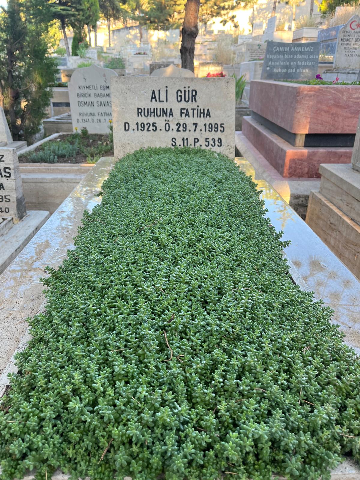 Mezar bakım çalışması